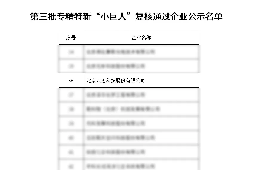 開云電競科技通過工信部專精特新“小巨人”企業復核